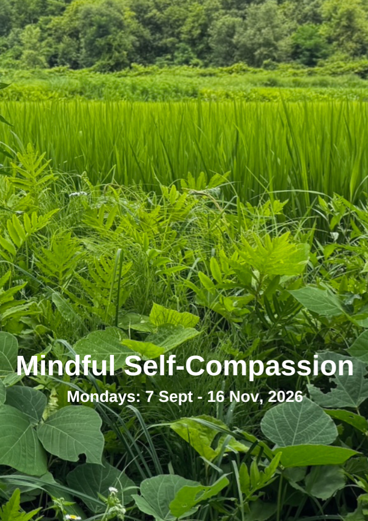 Mindful Self-Compassion Live Online Training Course