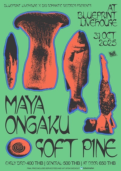 Maya Ongaku レコード maya ongaku - Approach to Anima | NEWTONE RECORDS