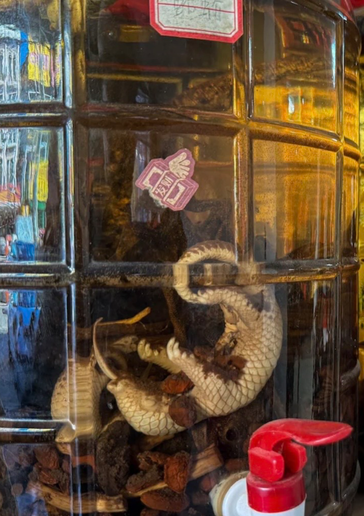 Boiled pangolin for lunch? The conservation and spillover threats posed by Laos’ rampant wildlife trade