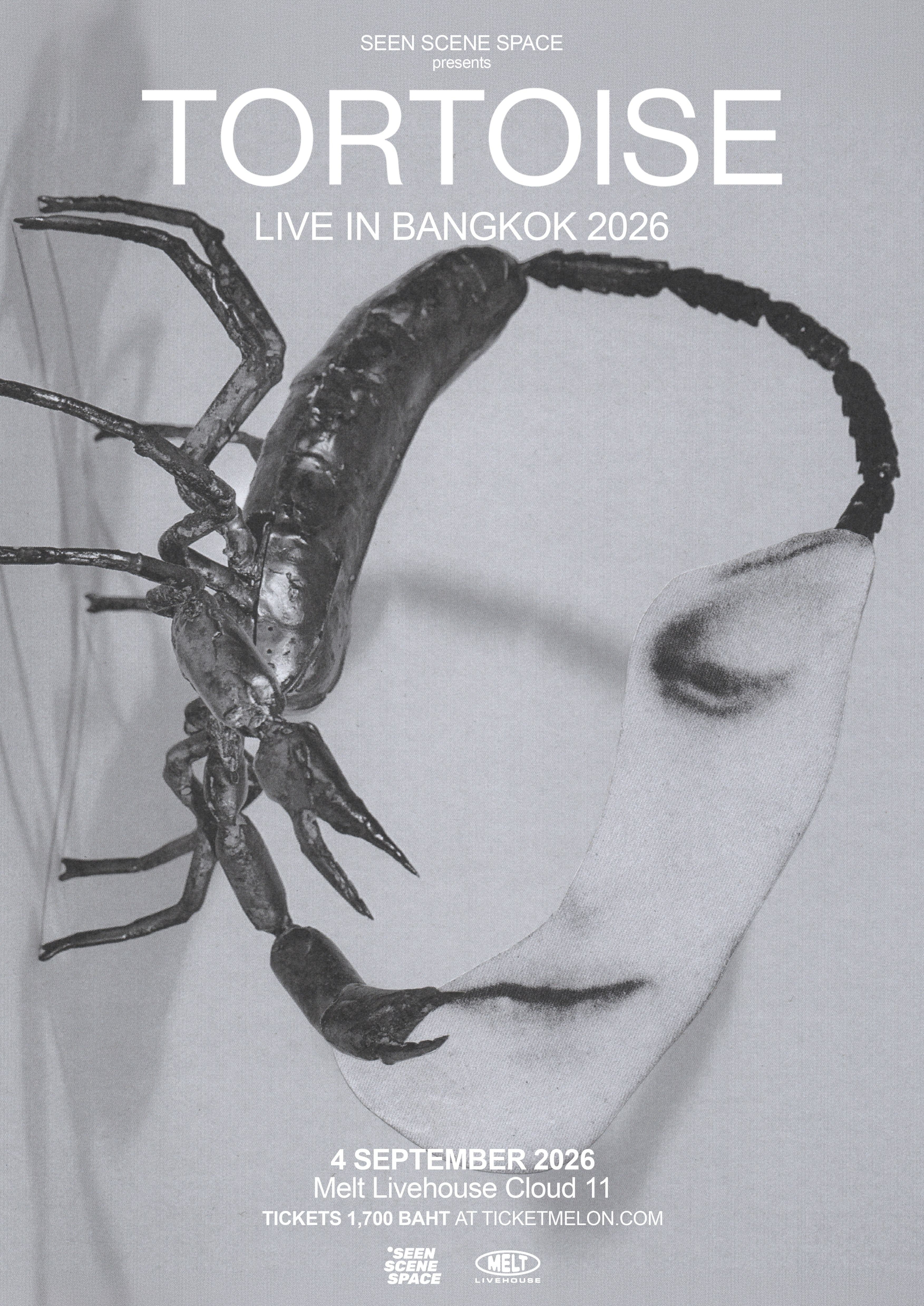 Tortoise Live in Bangkok 2026